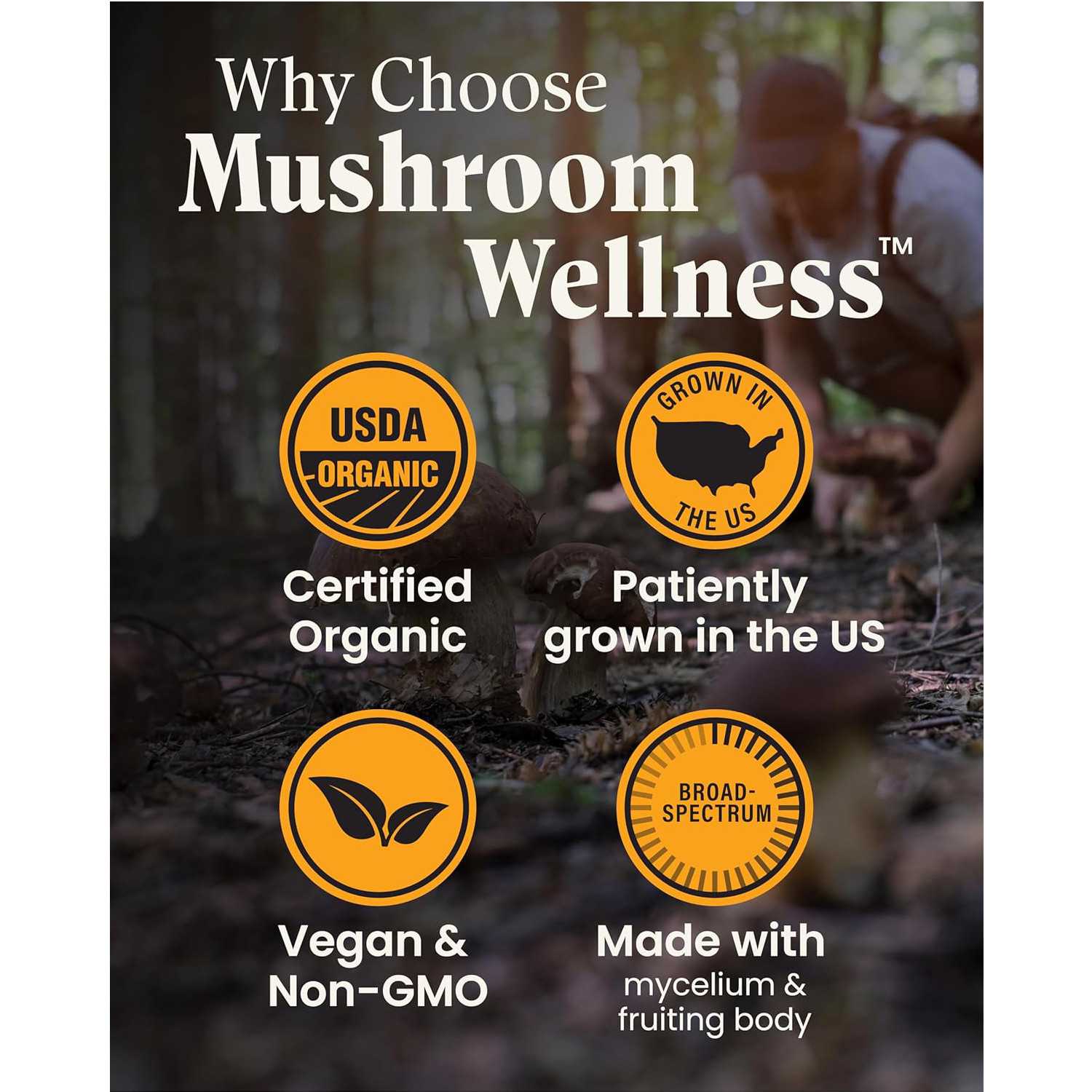 Herb Pharm,Mushroom Wellness Everyday 10,Organic Broad Spectrum,90Veg Caps