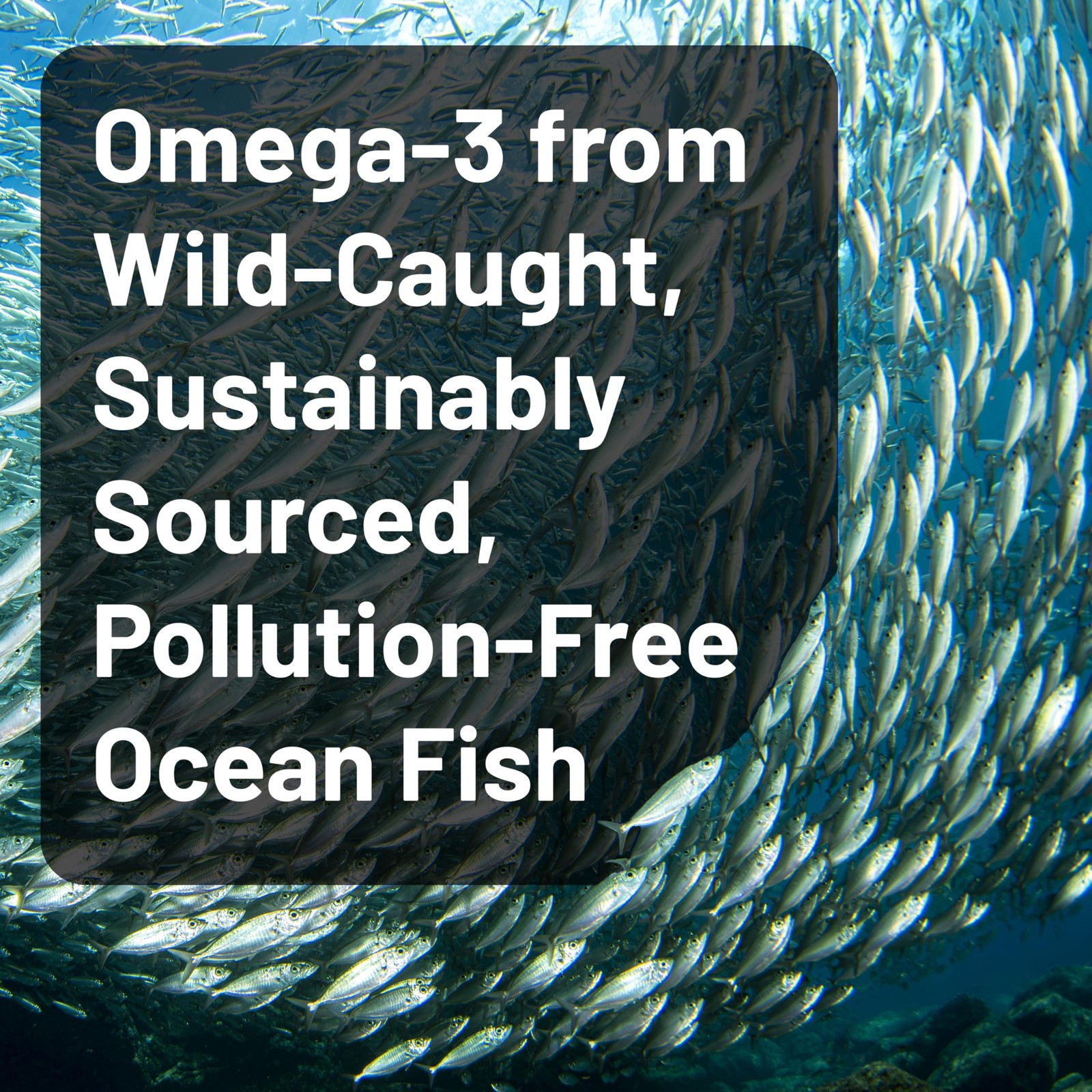 NatureWise Quad Strength Omega-3 Fish Oil 4080mg TG Form Wild Caught Burpless