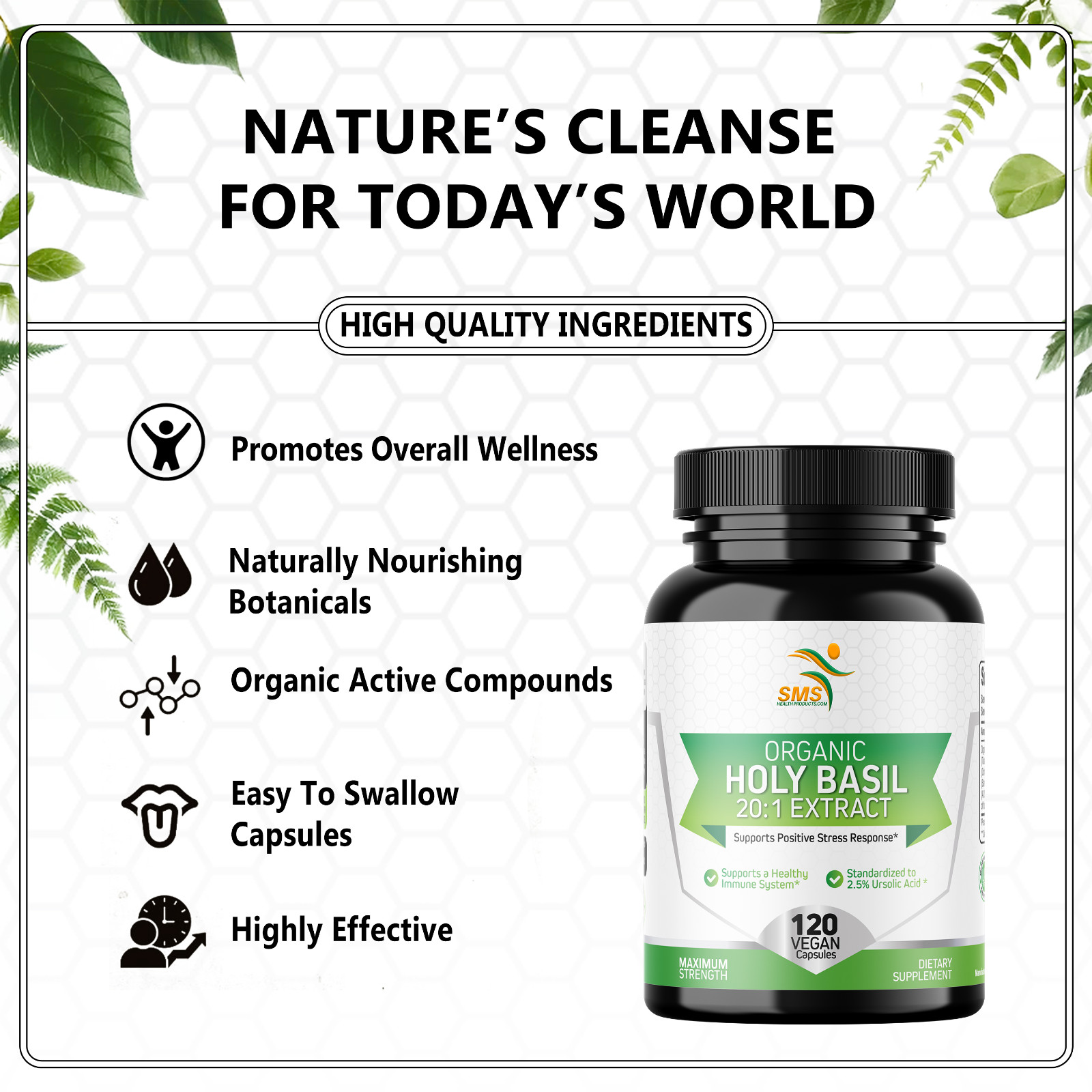 Organic Holy Basil 20:1 Extract 2.5% Ursolic Acid (120 Veg Capsules) Made In USA