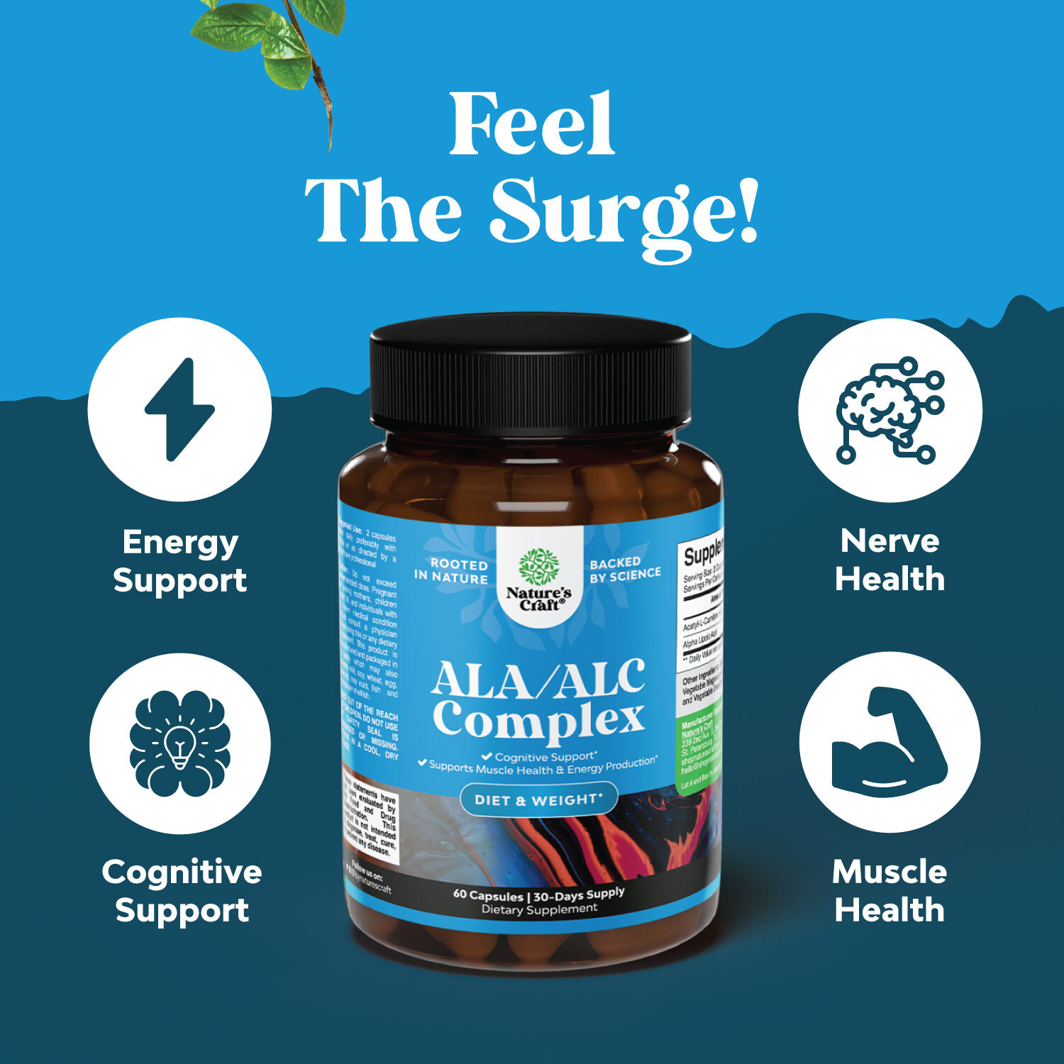 ALC and Alpha Lipoic Acid Supplements – Acetyl l-carnitine Alpha Lipoic Acid