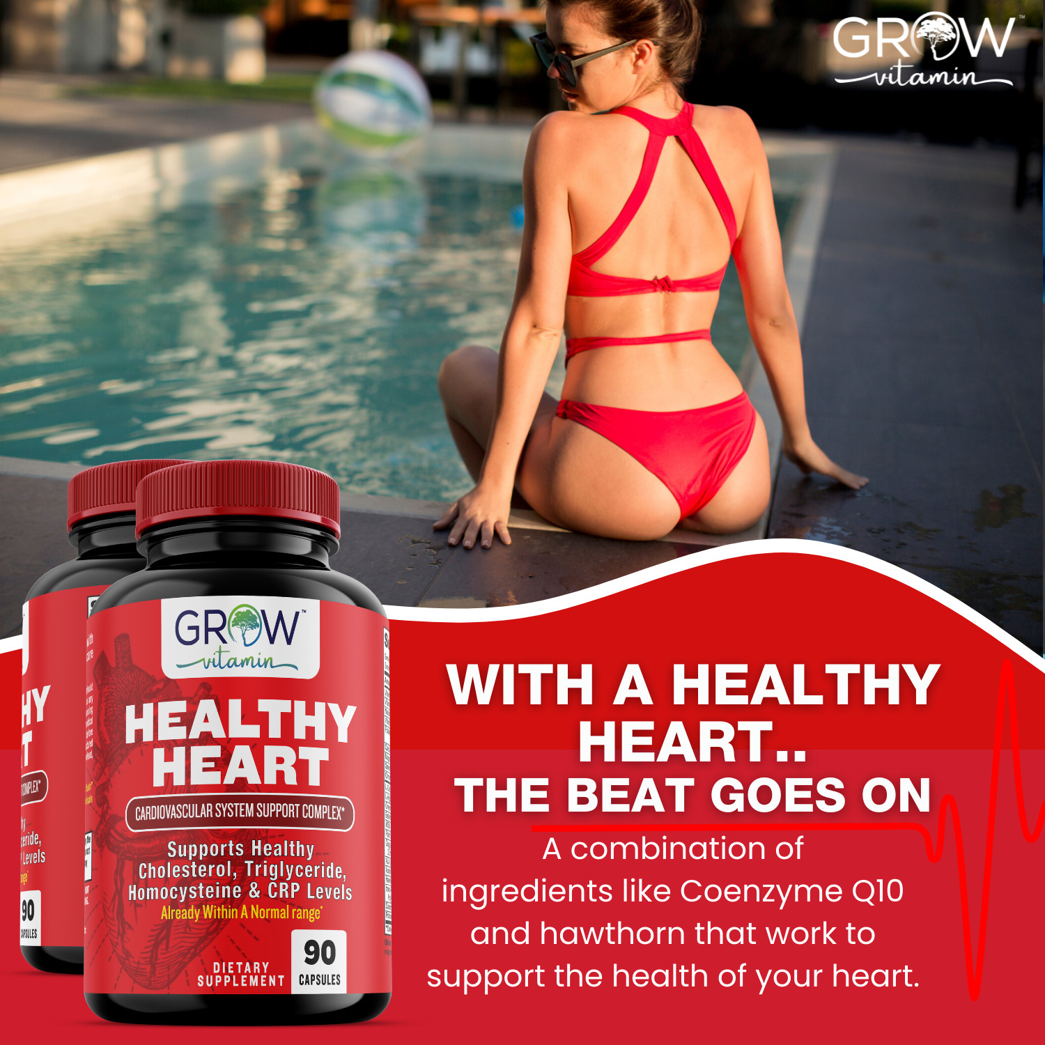 Healthy Heart Capsules for Artery Cleanse & Protection, and support of Arteries