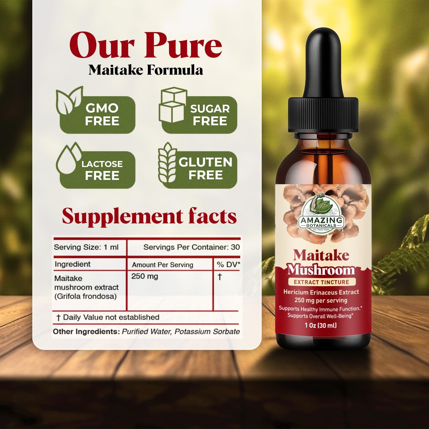 Amazing Botanicals Maitake Mushroom Extract – Liquid 1 Fl Oz (Pack of 1)