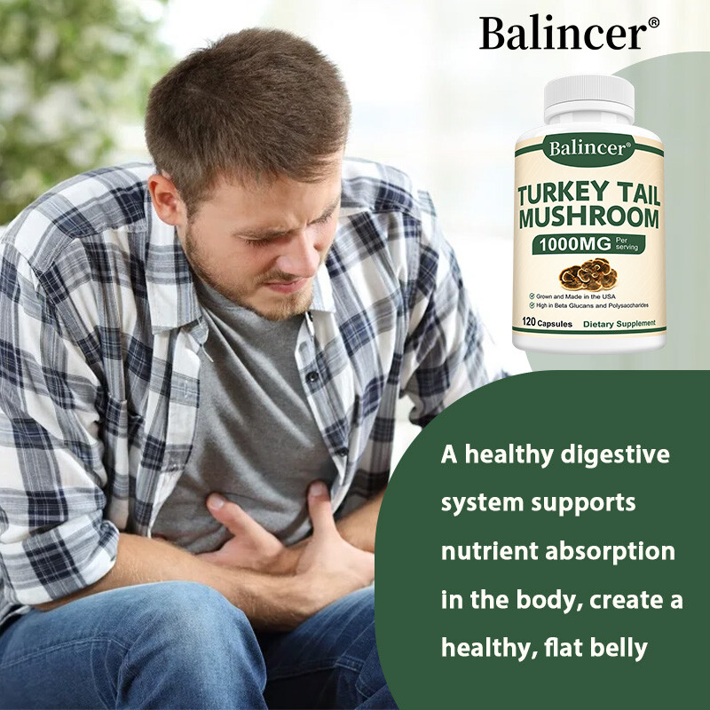 Türkiye Tail Mushroom Capsules – 1000mg – Healthy Immune System – Healthy Living