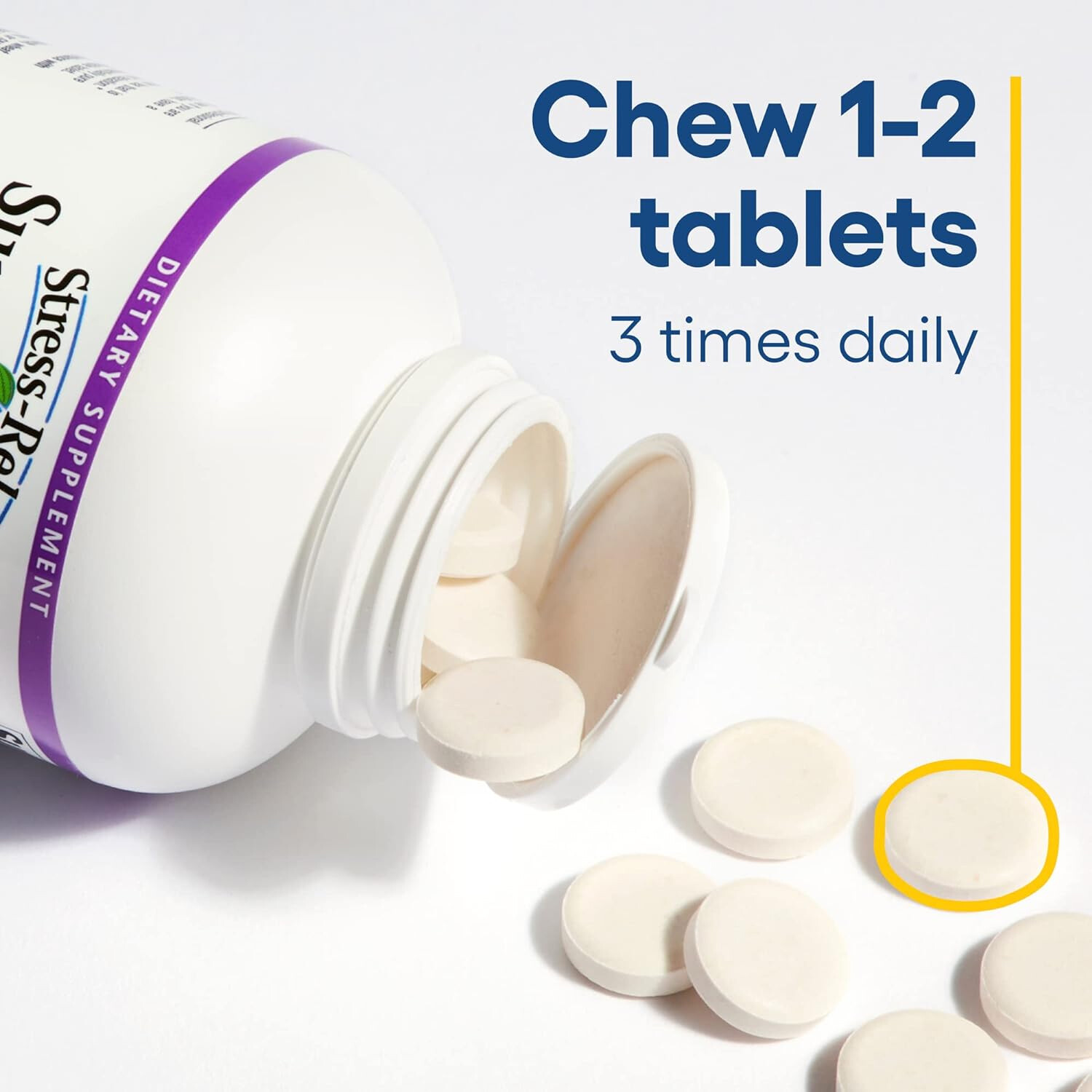 Natural Factors Stress-Relax Suntheanine L-Theanine 100 mg,60 Chew Tablets