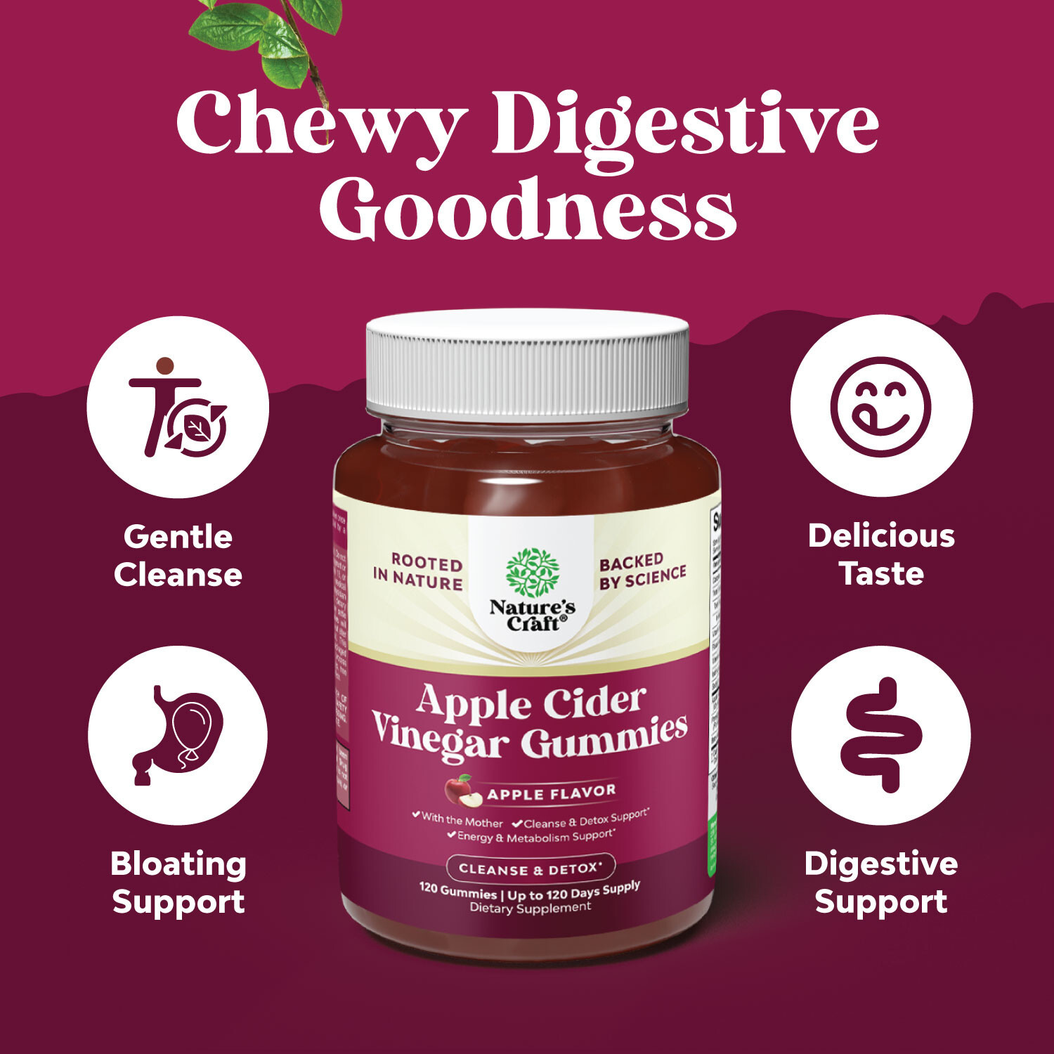 Apple Cider Vinegar Gummies with the Mother – Natural Energy Supplement ACV