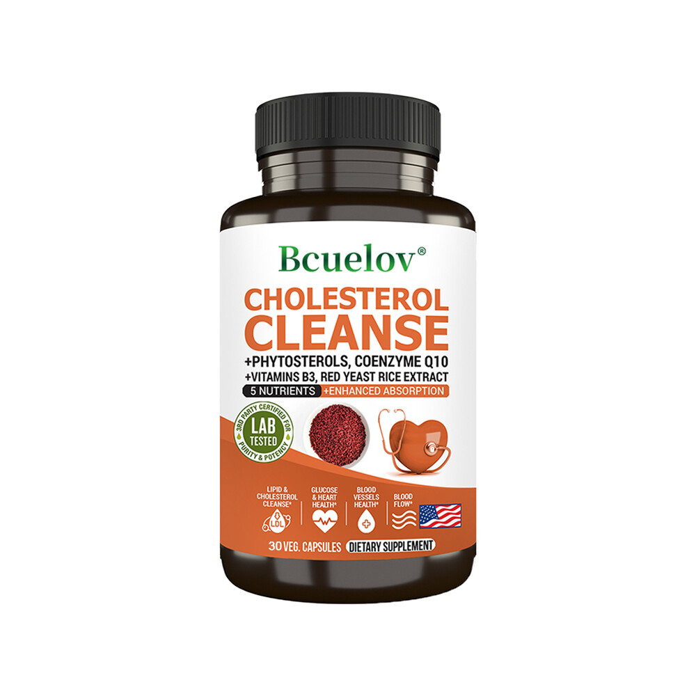 Cholesterol Cleanse – Healthy Heart Blood Vessels Artery Circulation Flow