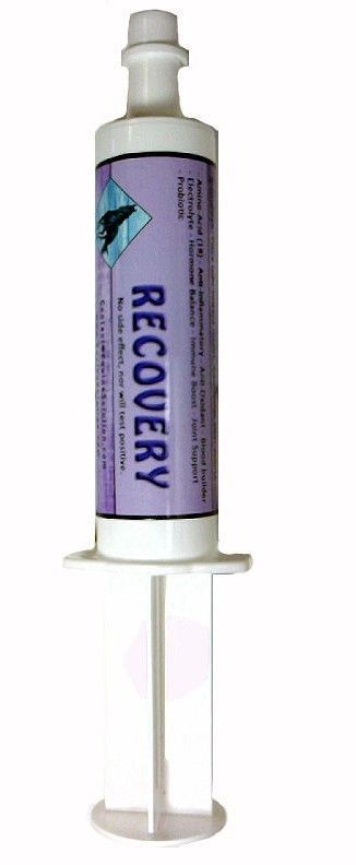 RECOVERY Tube Paste – Help Recover after intense exercise (2oz for Horses)