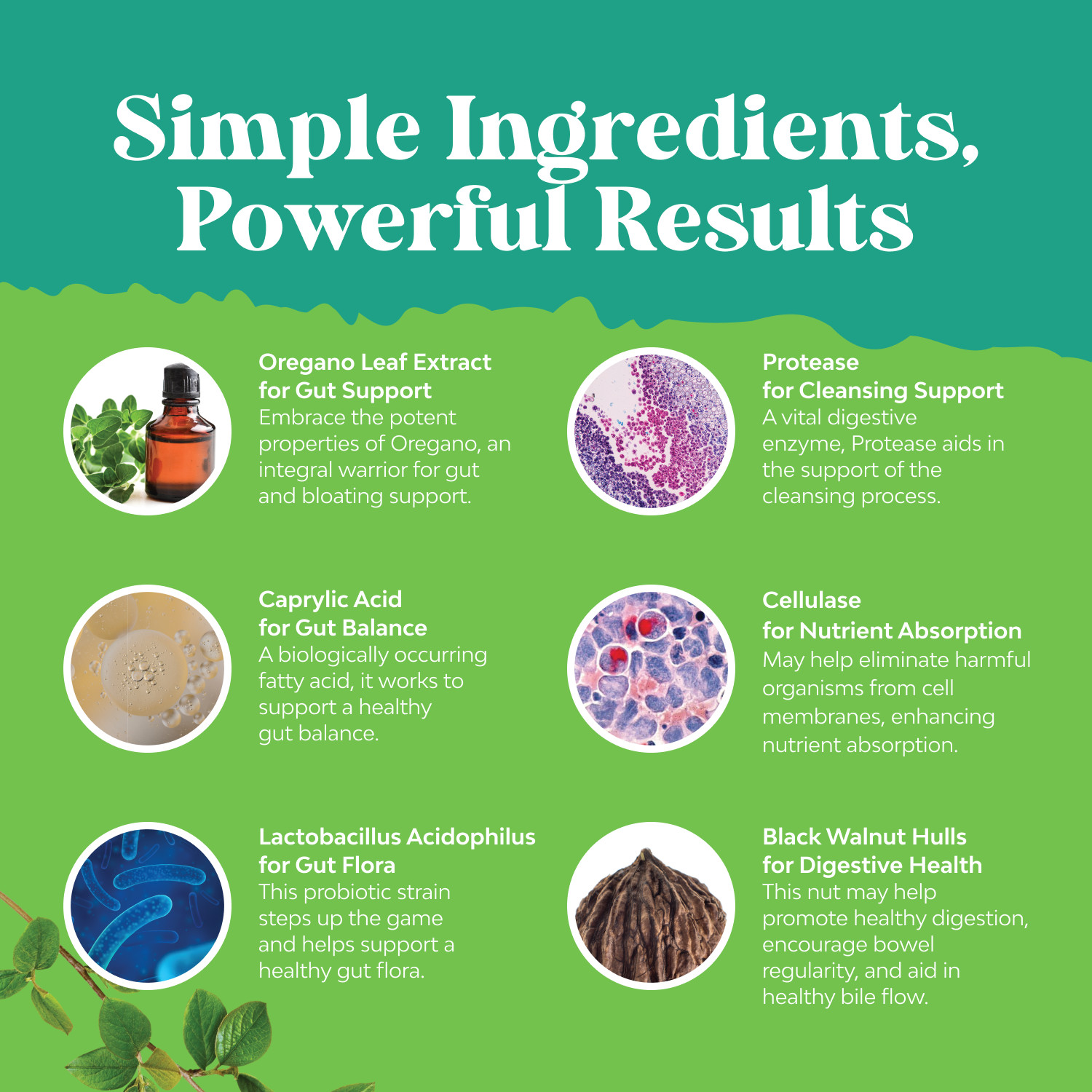 Nature’s Craft Candida Complex 60 Capsules – Probiotics, Digestive Enzymes 60ct
