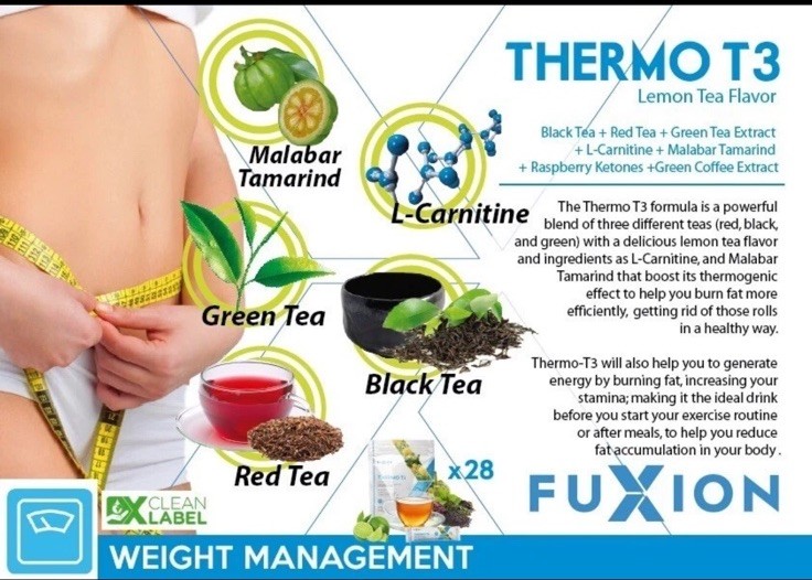 Fuxion Powdered Tea Drink Mix Lemon Tea Prune Apple Cinnamon Weight Management