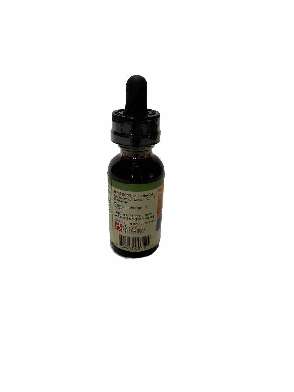 Iosol Iodine Liquid – 1 fl oz Wellness Resources