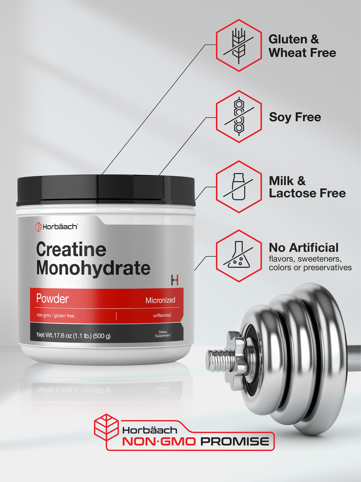 Creatine Monohydrate Powder 17.6oz | Micronized, Vegetarian | by Horbaach