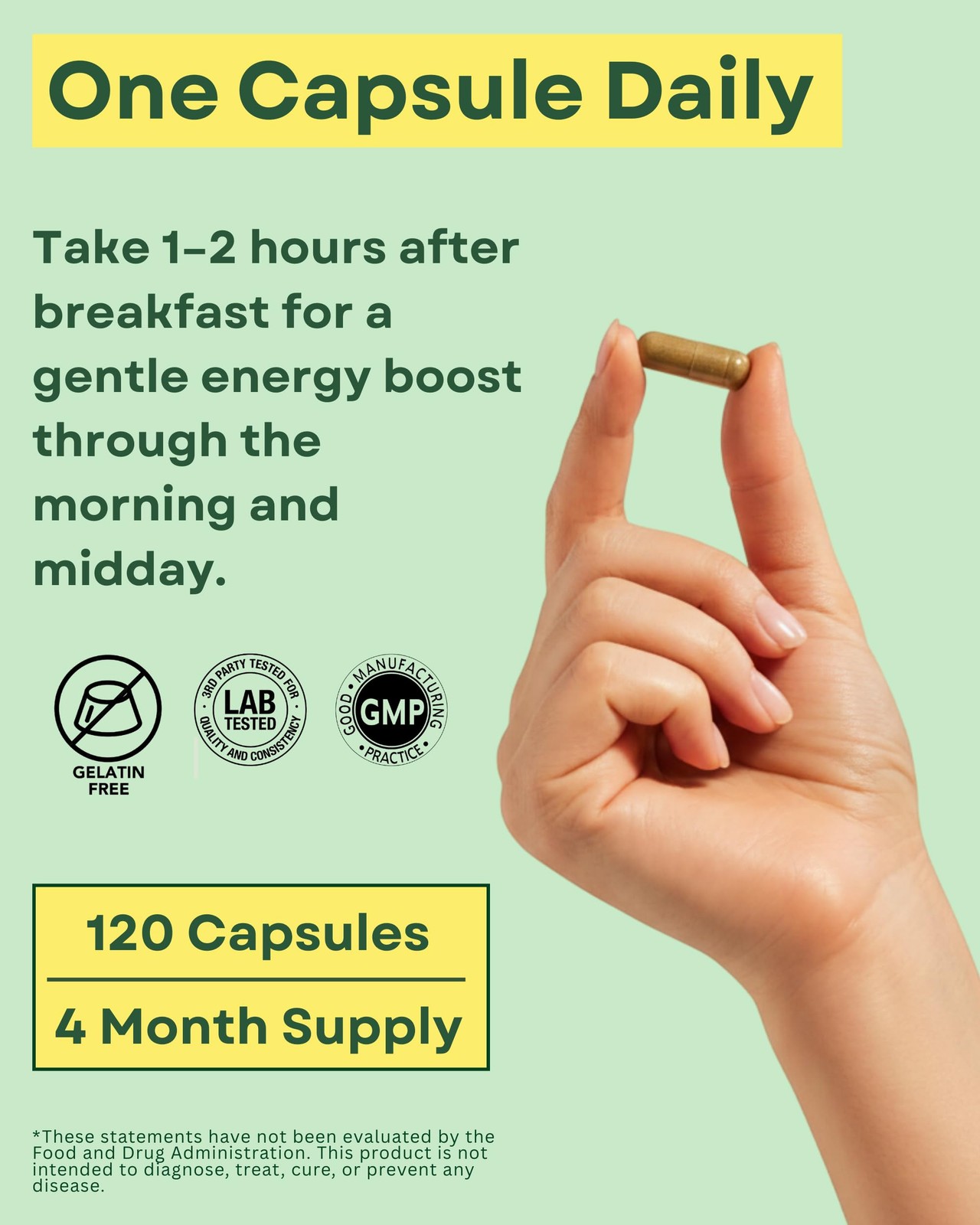 Agami Green Tea Capsules | 4 Month Supply | Energy & 120 Count (Pack of 1)