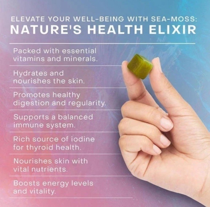 Shandr Superfoods Glow Sea Moss Pearl Powder 80 Gummies Green Apple Exp: 11/2027
