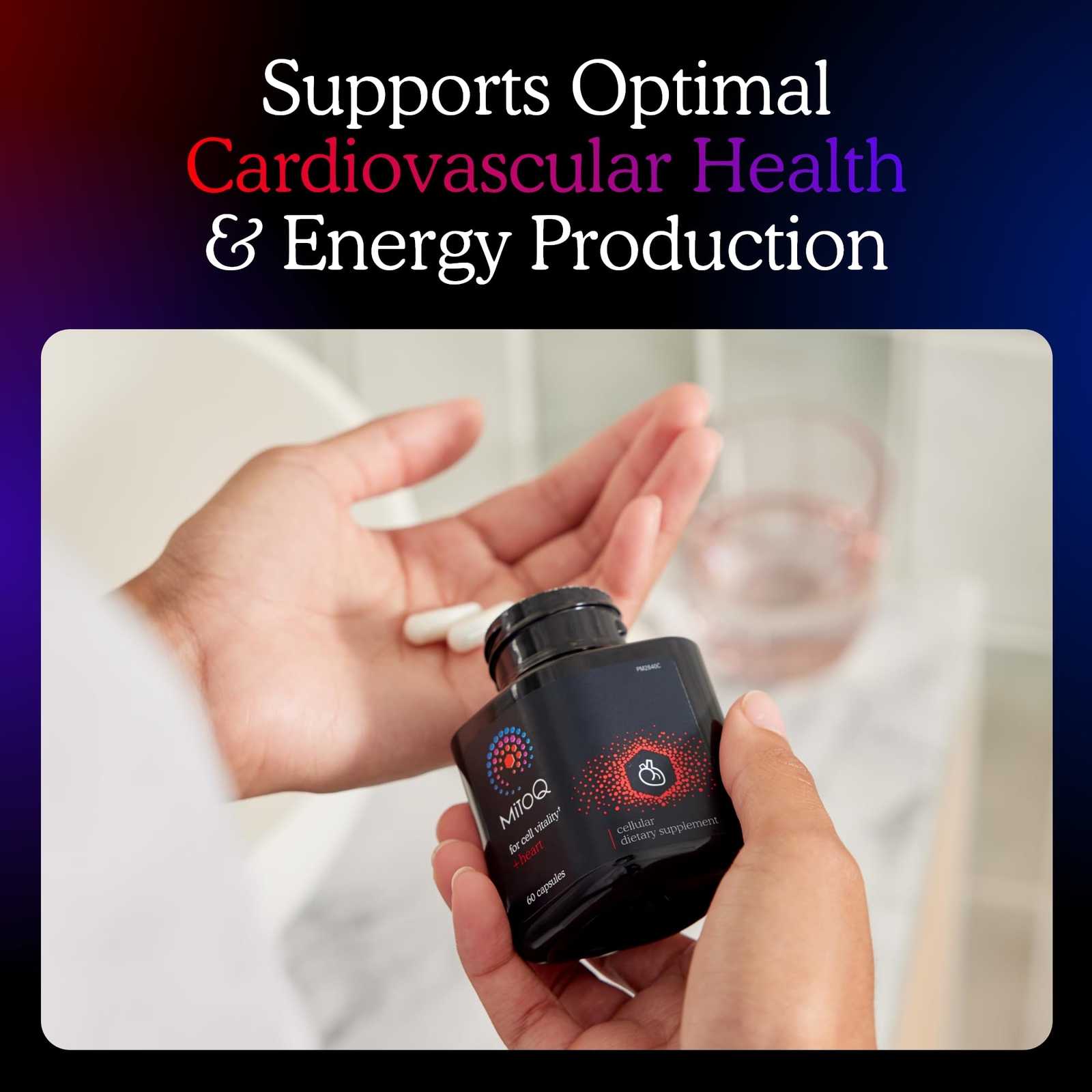 MitoQ +Heart Premium CoQ10 Antioxidant – Contains Mitoquinol Mesylate Magnesi…