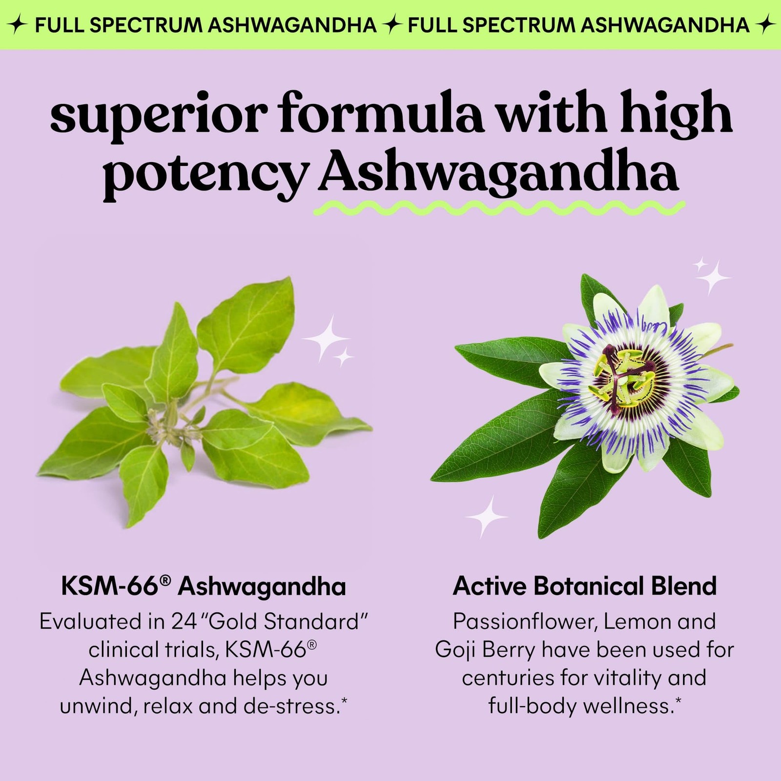 Lemme Chill Stress Relief Gummies with 300mg KSM-66 60 Count (Pack of 1)