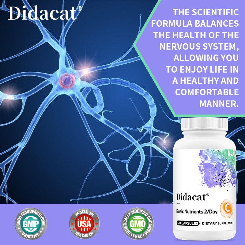 Multivitamin Daily | All-in-One for Immune, Skin & Energy, 30/60/120 Capsules