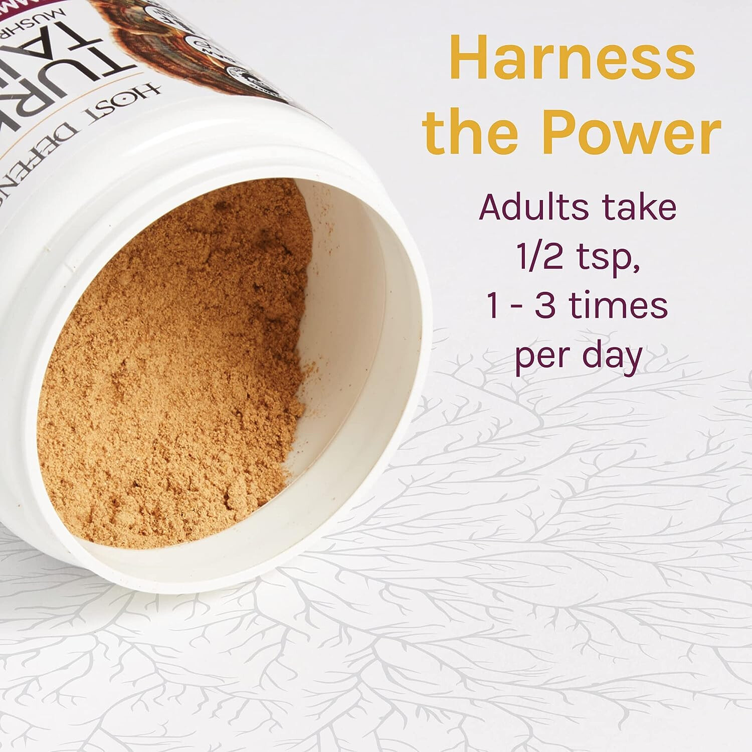 Fungi Perfecti Host Defense Turkey Tail Immune Support Powder, 3.5 Ounces