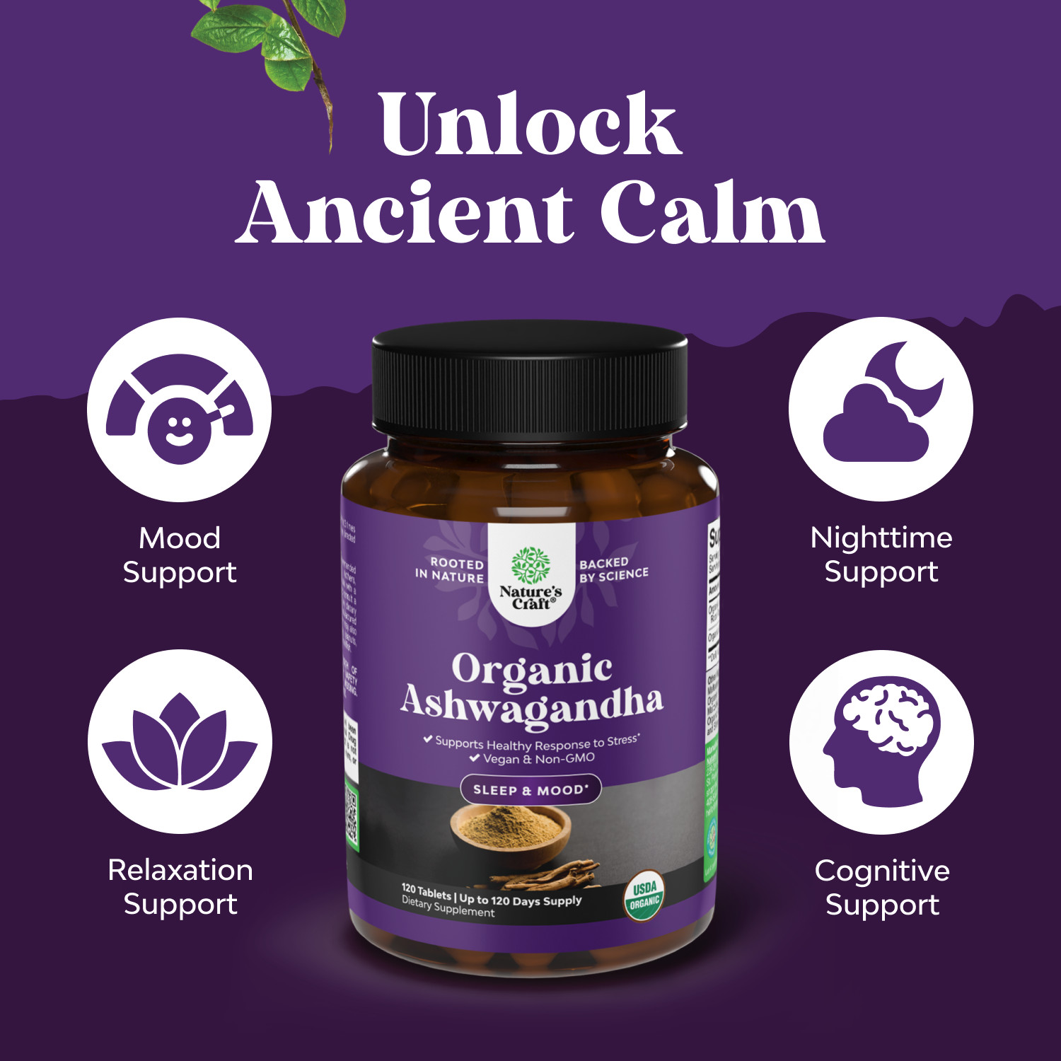 High Strength Organic Ashwagandha Supplements Ashwagandha Organic Tablets 120ct