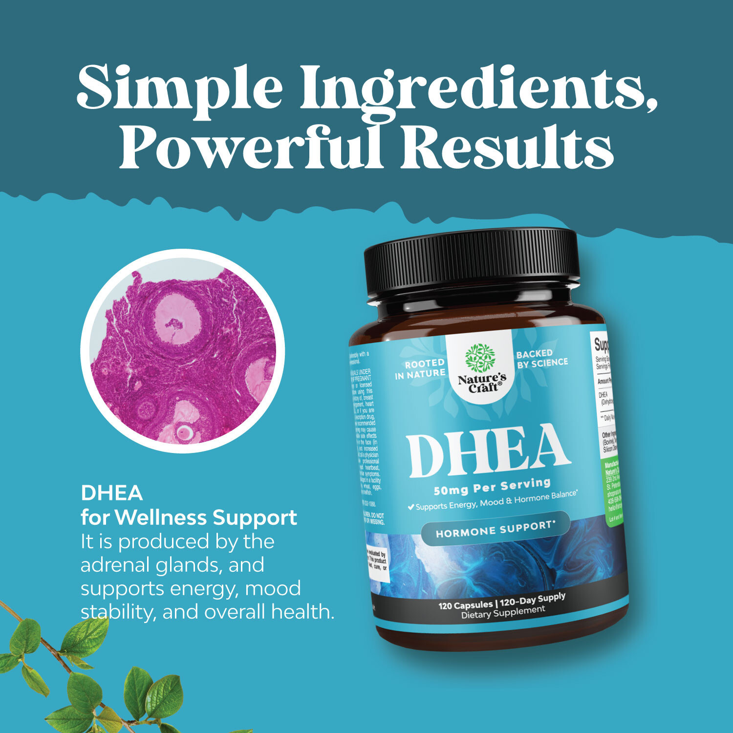 DHEA 50mg for Men and Women High Strength for Enhanced Energy and Hormone 120ct