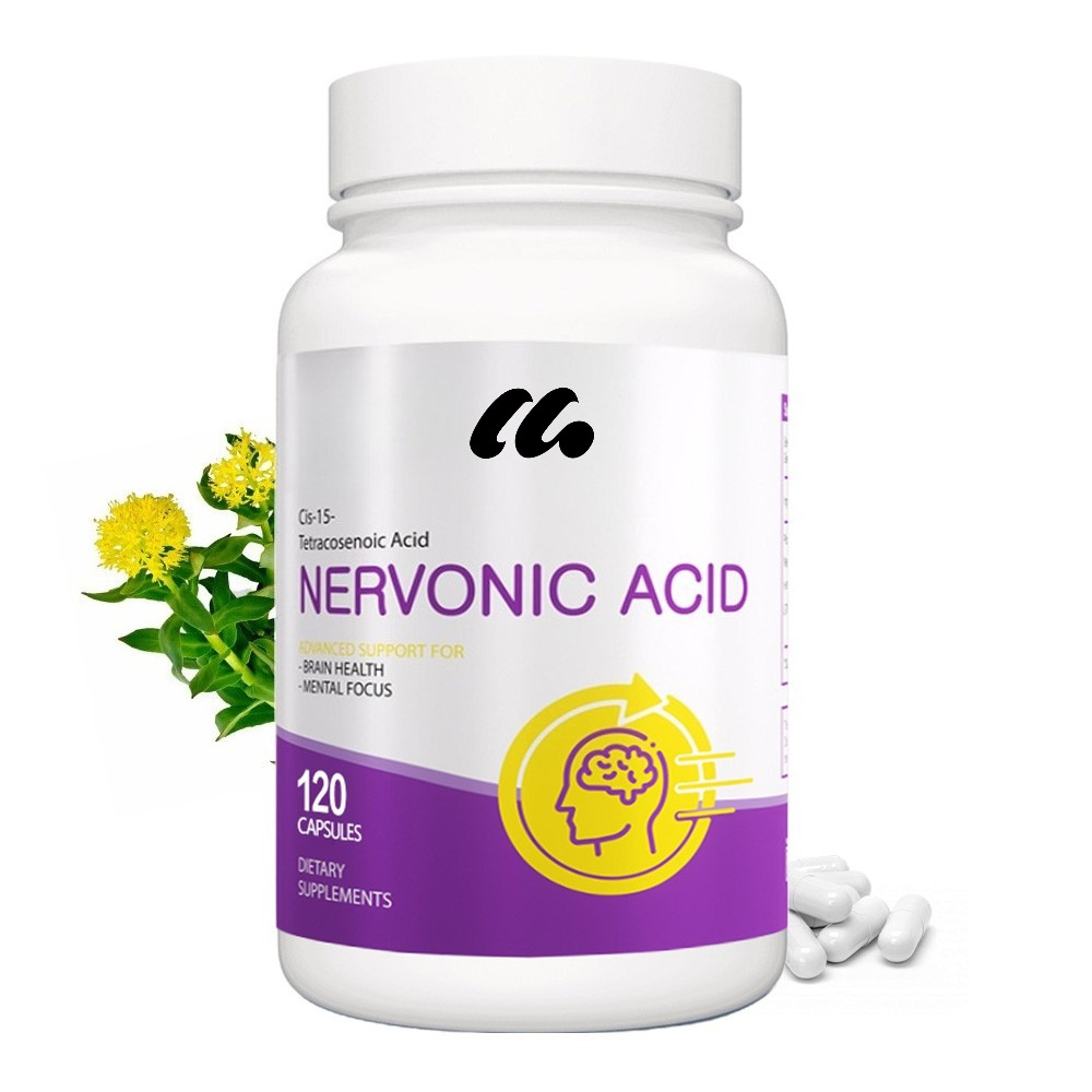 Brain Support 30/60/120 Capsules – Enhance Focus and Improve Mood