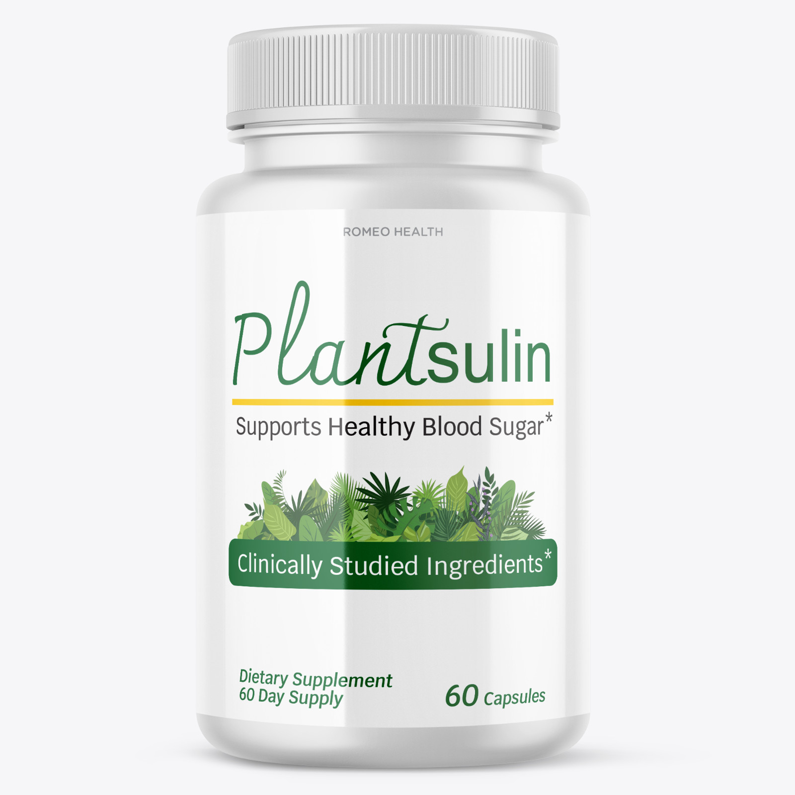 (12 Bottles) Plantsulin – Supports Healthy Blood Sugar Supplement 60 Capsules