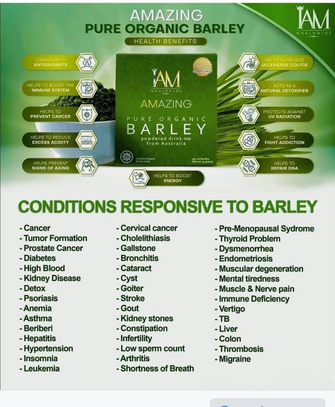 I Am Worldwide Amazing Pure Organic Barley Powdered Drink Mix 4 Boxes/40 Sachets