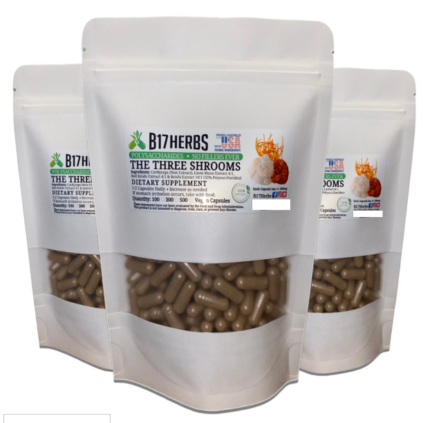 Three Mushroom Blend – Lions Mane, Red Reishi, Cordyceps – 500mg-100 Veggie Caps