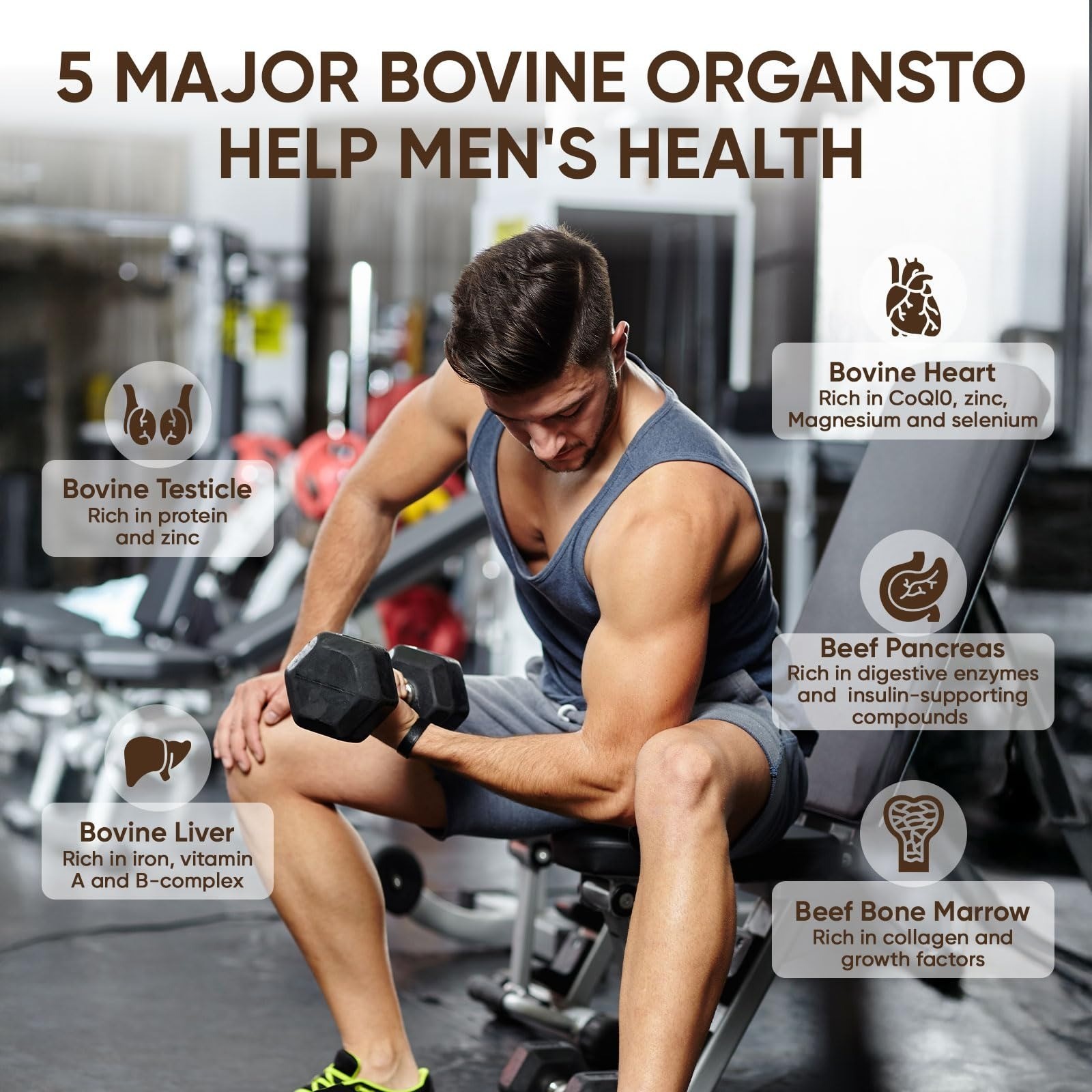 KXVUDE Beef Organ Complex Capsules – Grass Fed Liver & Heart Support