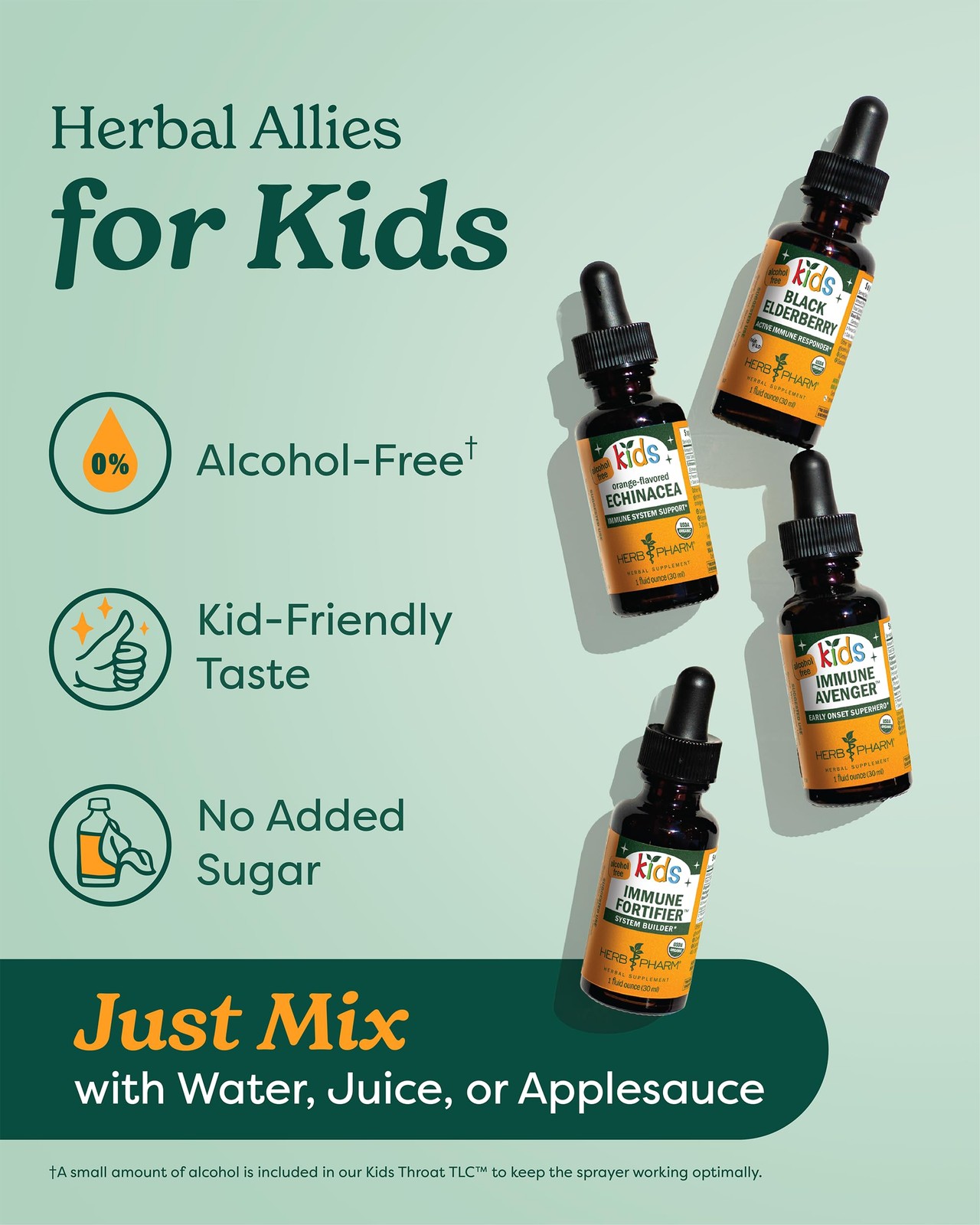 Herb Pharm Kids Immune Fortifier: 4 Fl Oz (Pack of 1), Dark Burgundy