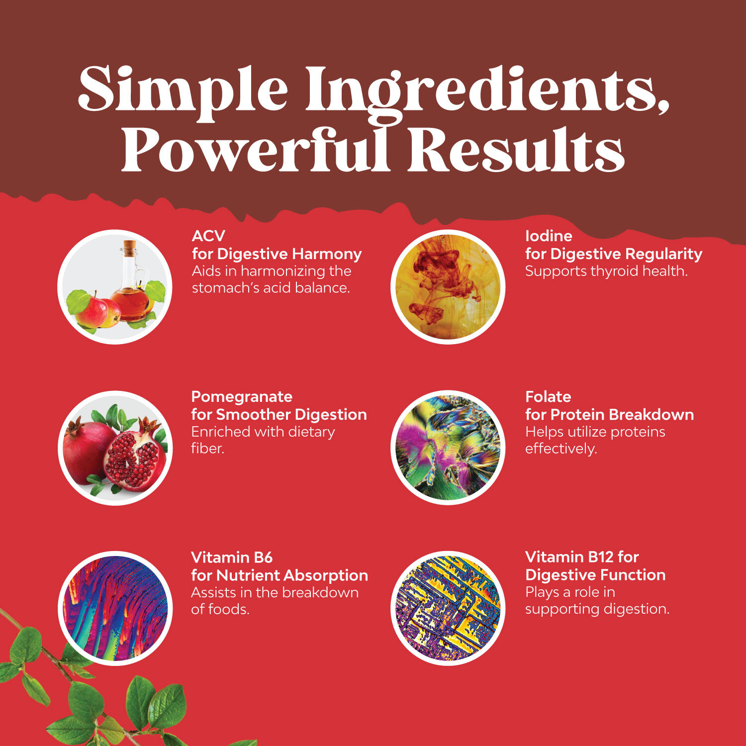 ACV Apple Cider Vinegar Gummies – Superfood for Adults for Detox Cleanse Immune