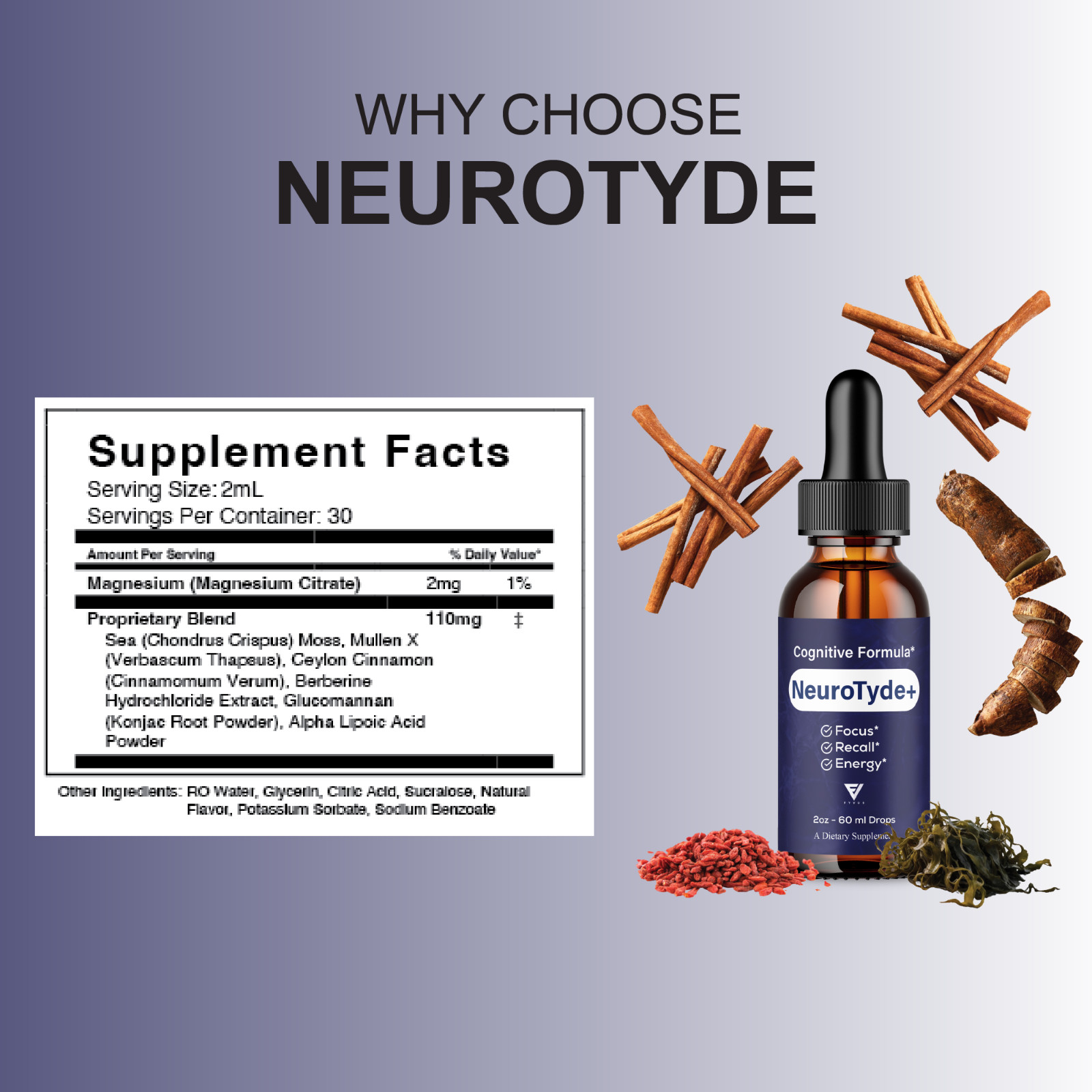 (5 Pack) NeuroTyde Nootropic Drops, NeuroTyde Brain Health Formula (10oz)