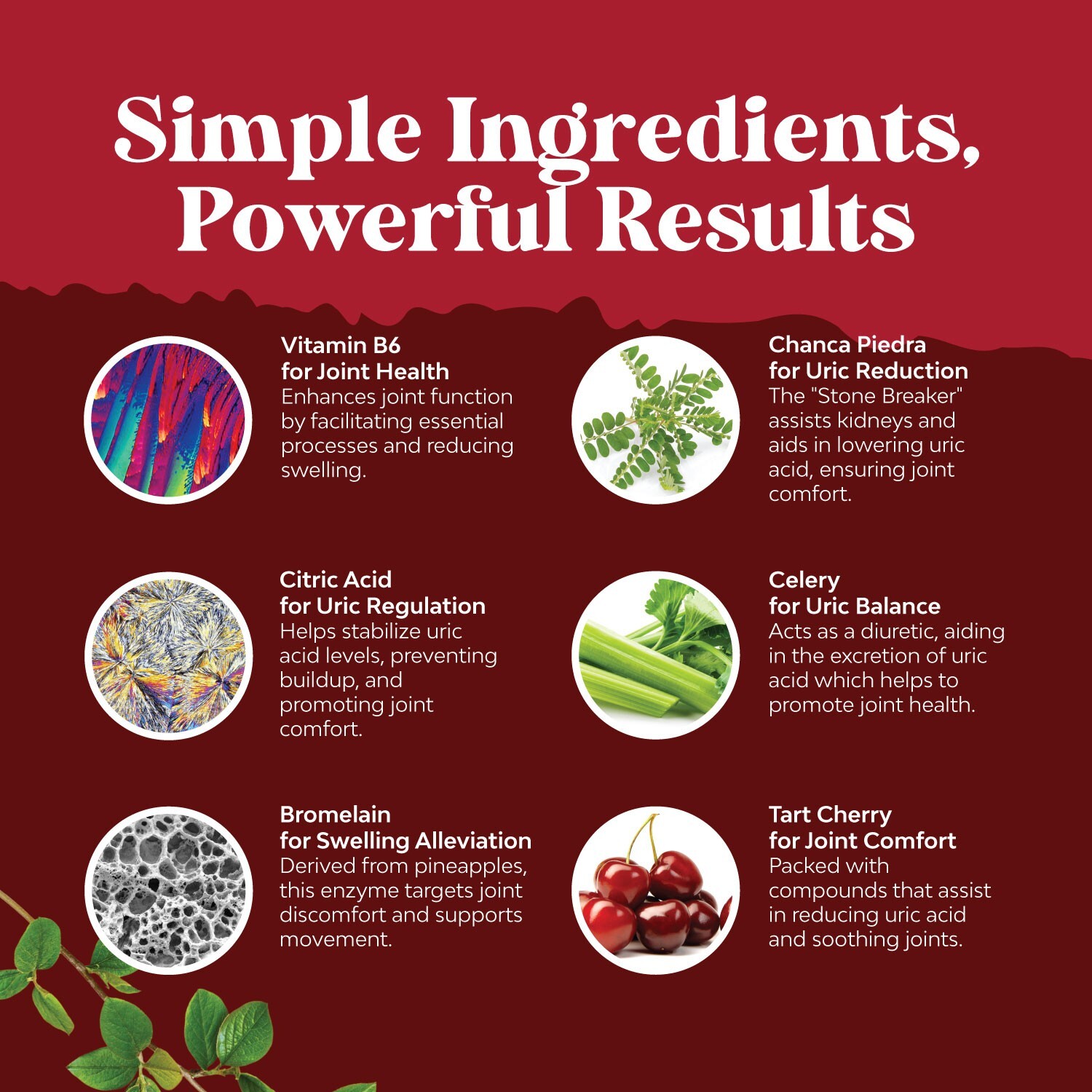 Natures Craft Uric Acid Support Supplements Promote Joint Health – Uric Acid