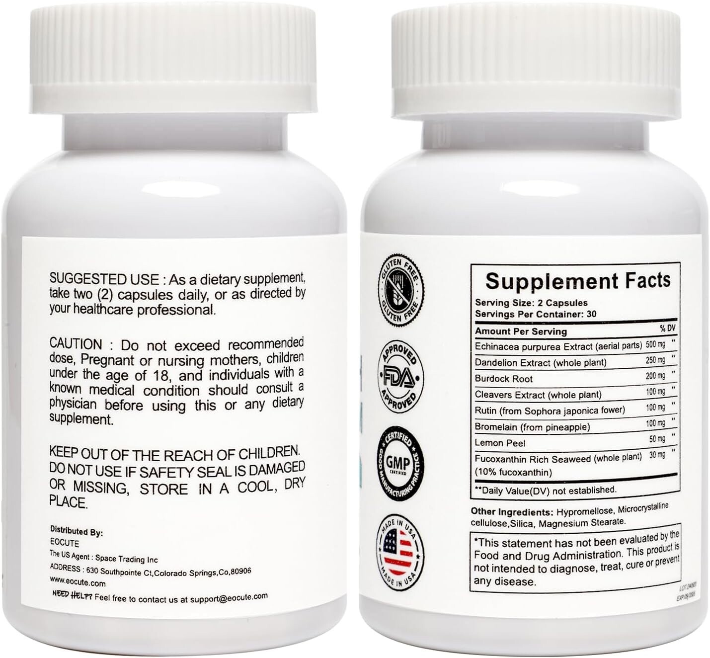Lymph System Support Supplement with Extract Echinacea Purpurea Dandelion US