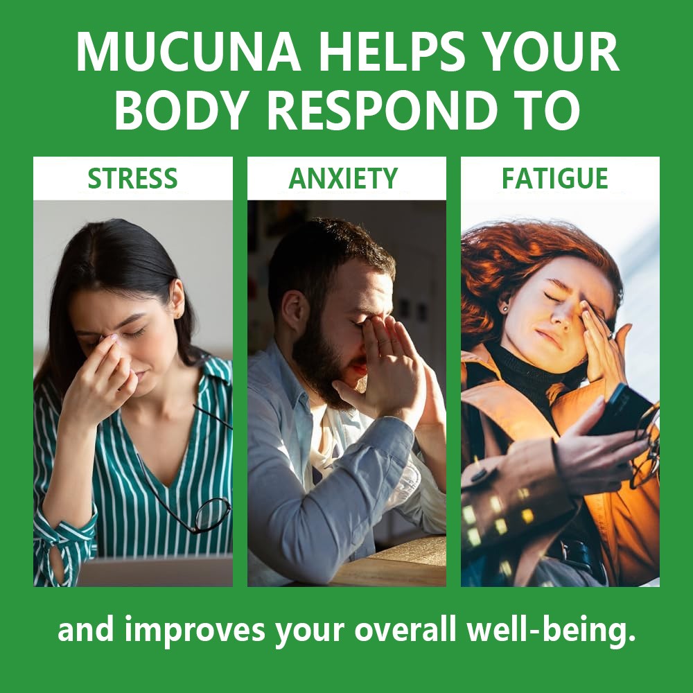 Organic Mucuna 250mg Support Relaxation Emotional Balance 30/60/120 Capsules