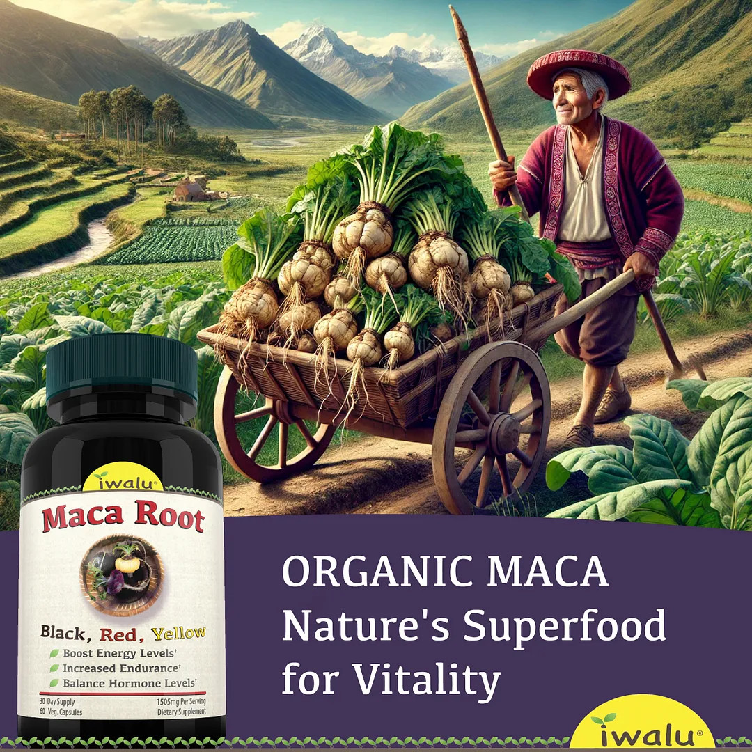 Supplements To Increase Testosterone | Best Supplement Capsules FREE SHIP