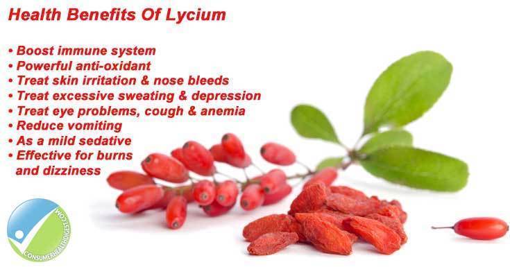 2 bottles Forever LYCIUM Plus 100 tabl.ea. Eyesight, Skin HALAL / KOSHER