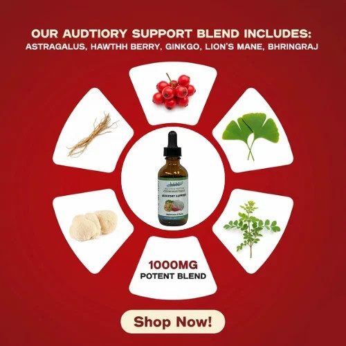 Organic Ear Health Supplement for Auditory Support Lion’s Mane Ginkgo Astragalus