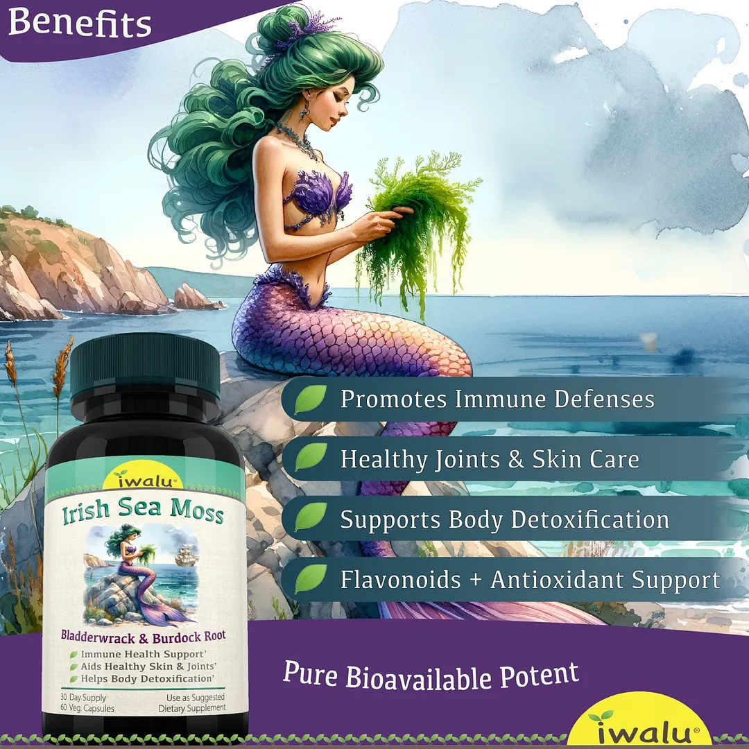 Sea Moss After Workout | Best Supplement Capsule Pill Men Women FREE SHIP