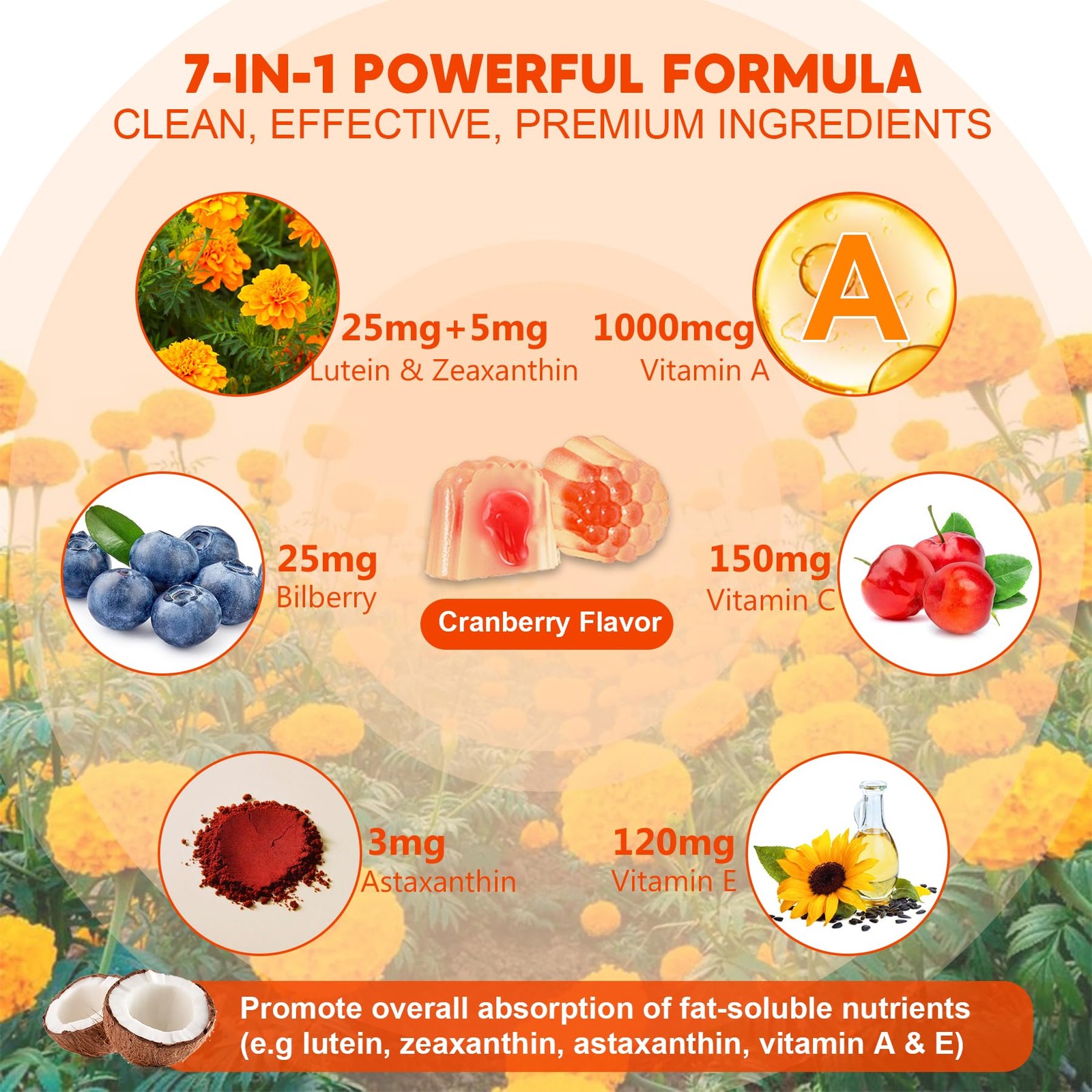 Sugar-Free Lutein Zeaxanthin Supplements Gummies (25mg) 60 Count (Pack of 1)
