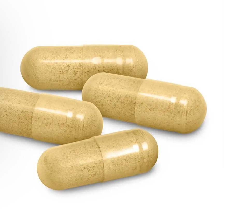 North America Herb & Spice Gastronex 90 Vegi Caps Supports A Healthy Exp 05/27