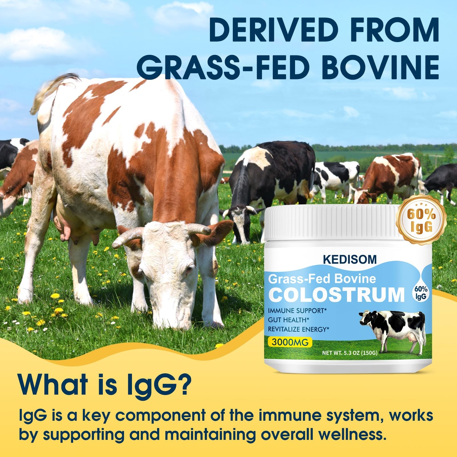KEDISOM Grass-Fed Bovine Colostrum Supplement 5.3 Ounce (Pack of 1), 150g
