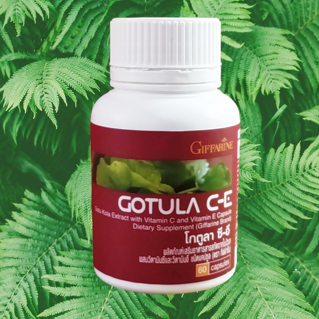 GOTULA CE_Cognitive Function_Varicose Veins_Ulcer_Hemorrhoids GIFFARINE 60Caps