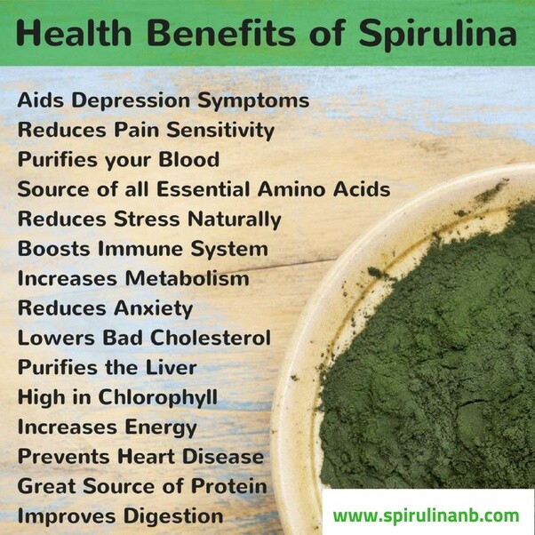 spirulina chlorella – Blue Green Algae 500mg – plant protein source 1B