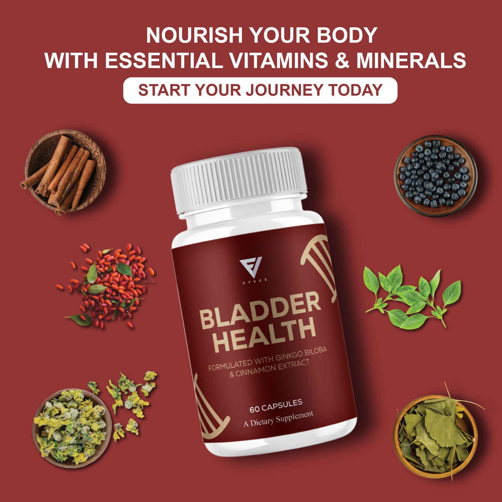 Bladder Health Support, BladderHealth Daily Supplement (60 Capsules)