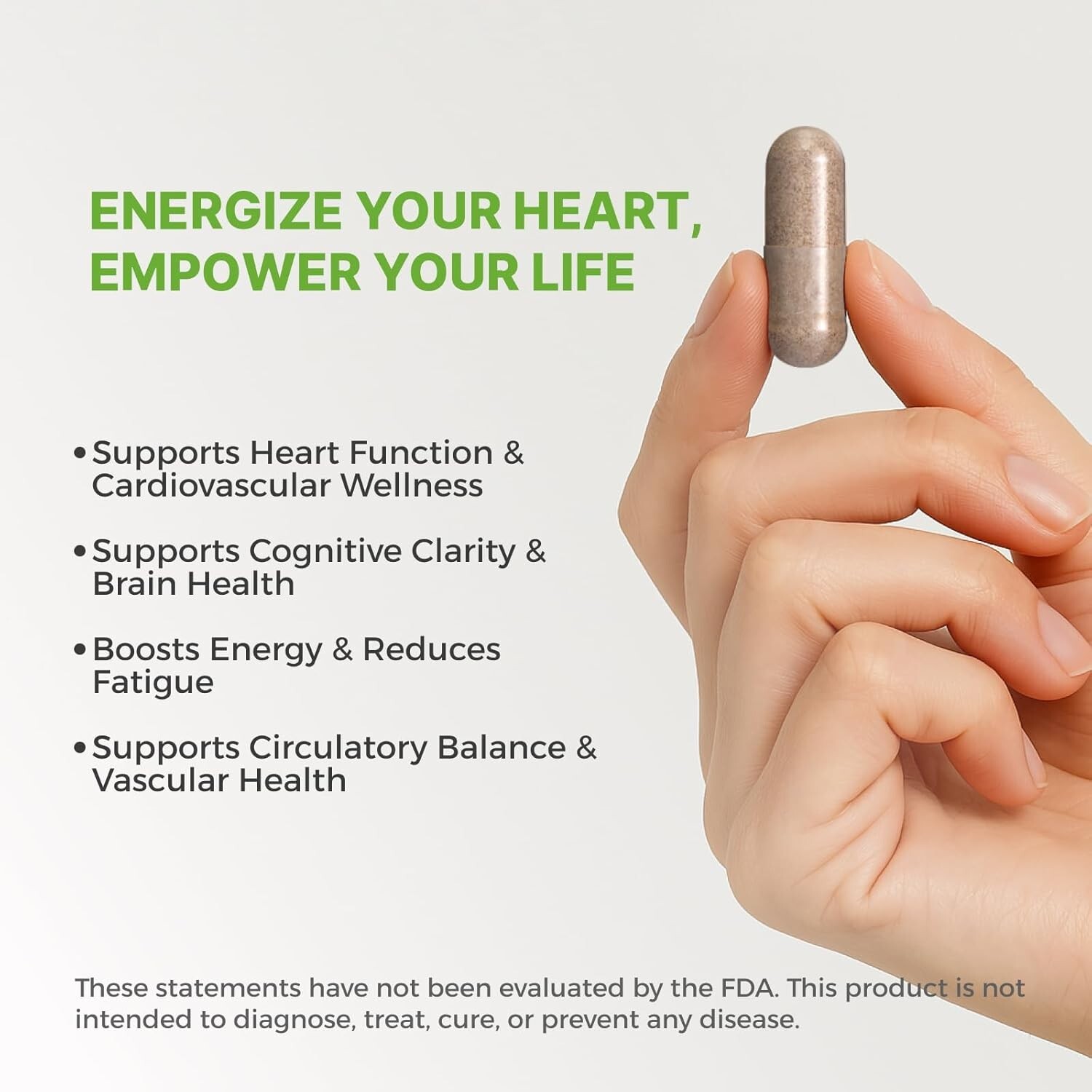 Herbal Cardiovascular, Circulation & Memory Support Supplement Ginseng Rehmannia