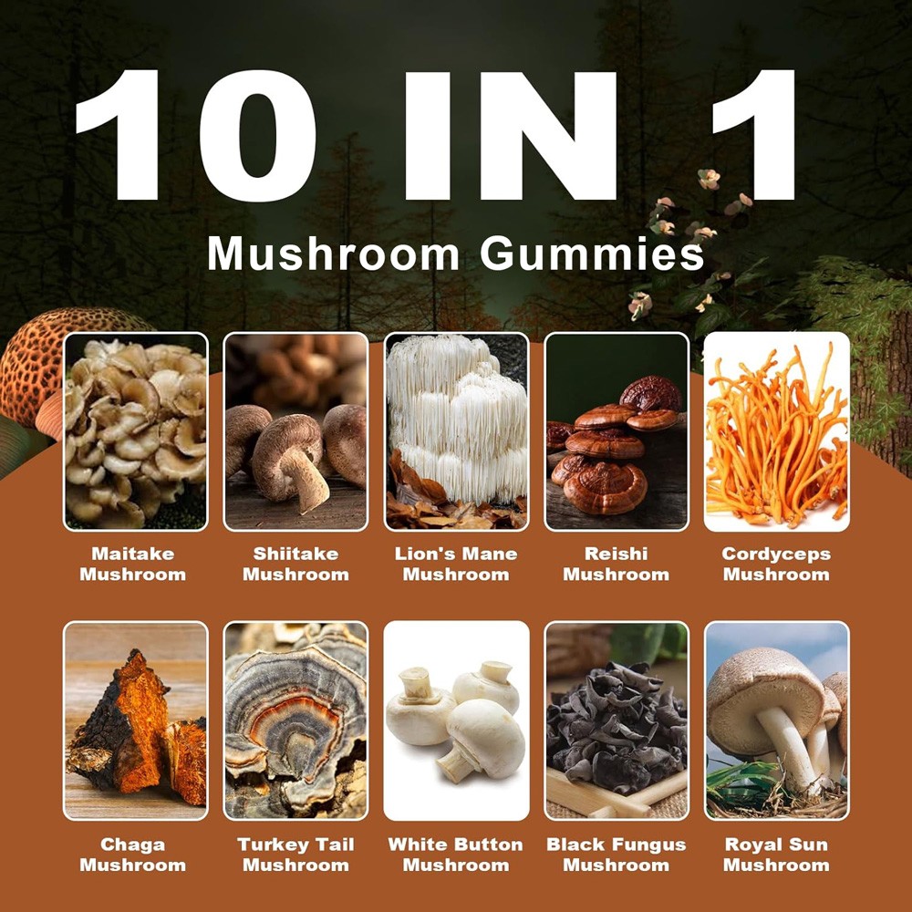 Functional Mushroom Gummies, 2500mg w/Ashwagandha Shiit Blend for Focus Immunity