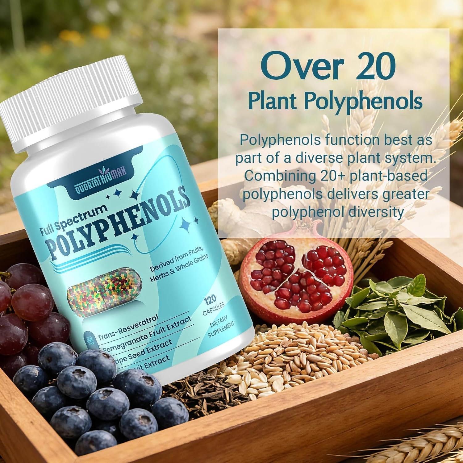 Polyphenols Supplement 1500mg – Over 20 Fruit, Herbal & Cereal Full Spectrum