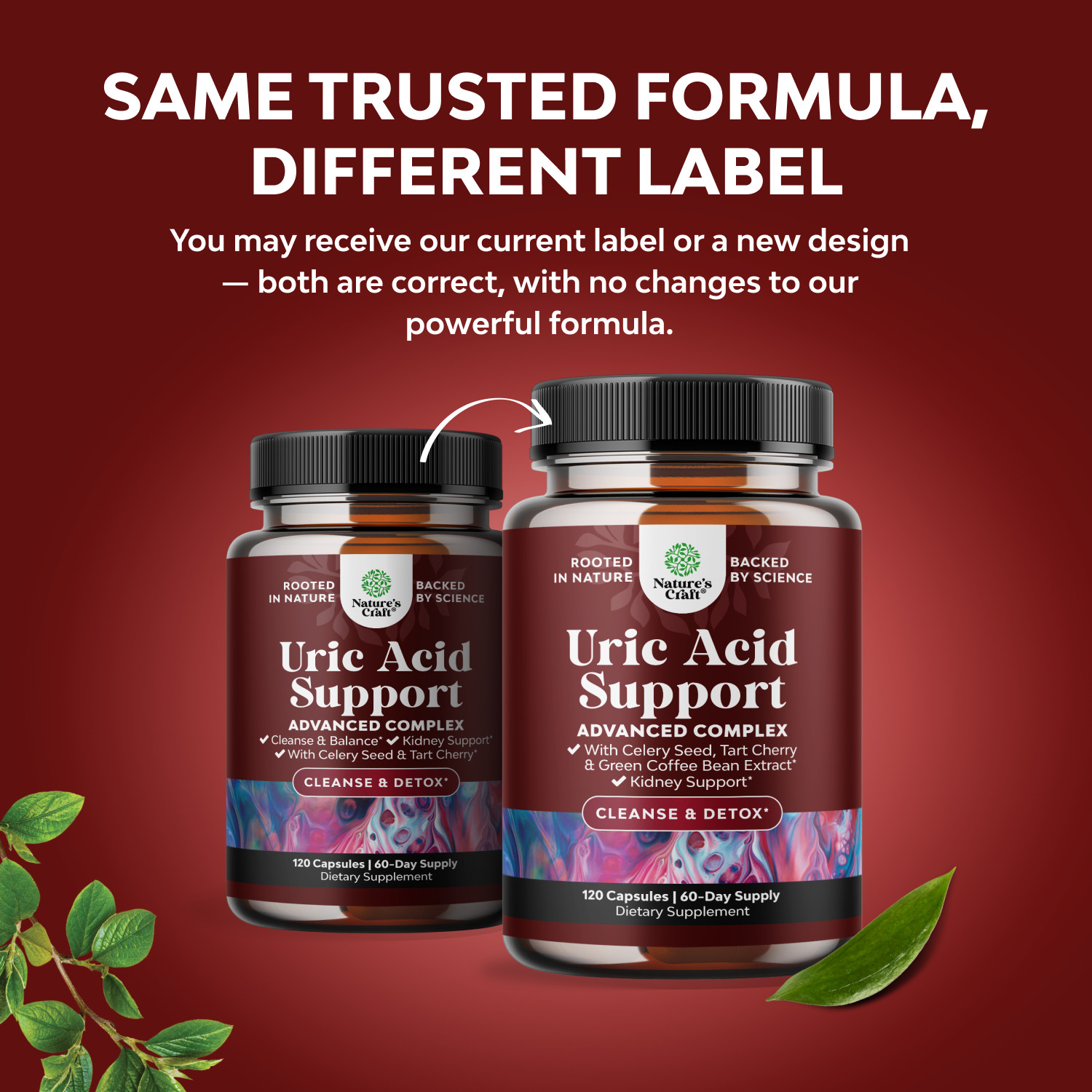 Herbal Uric Acid Cleanse and Detox – Kidney & Joint Support for Adults 120ct