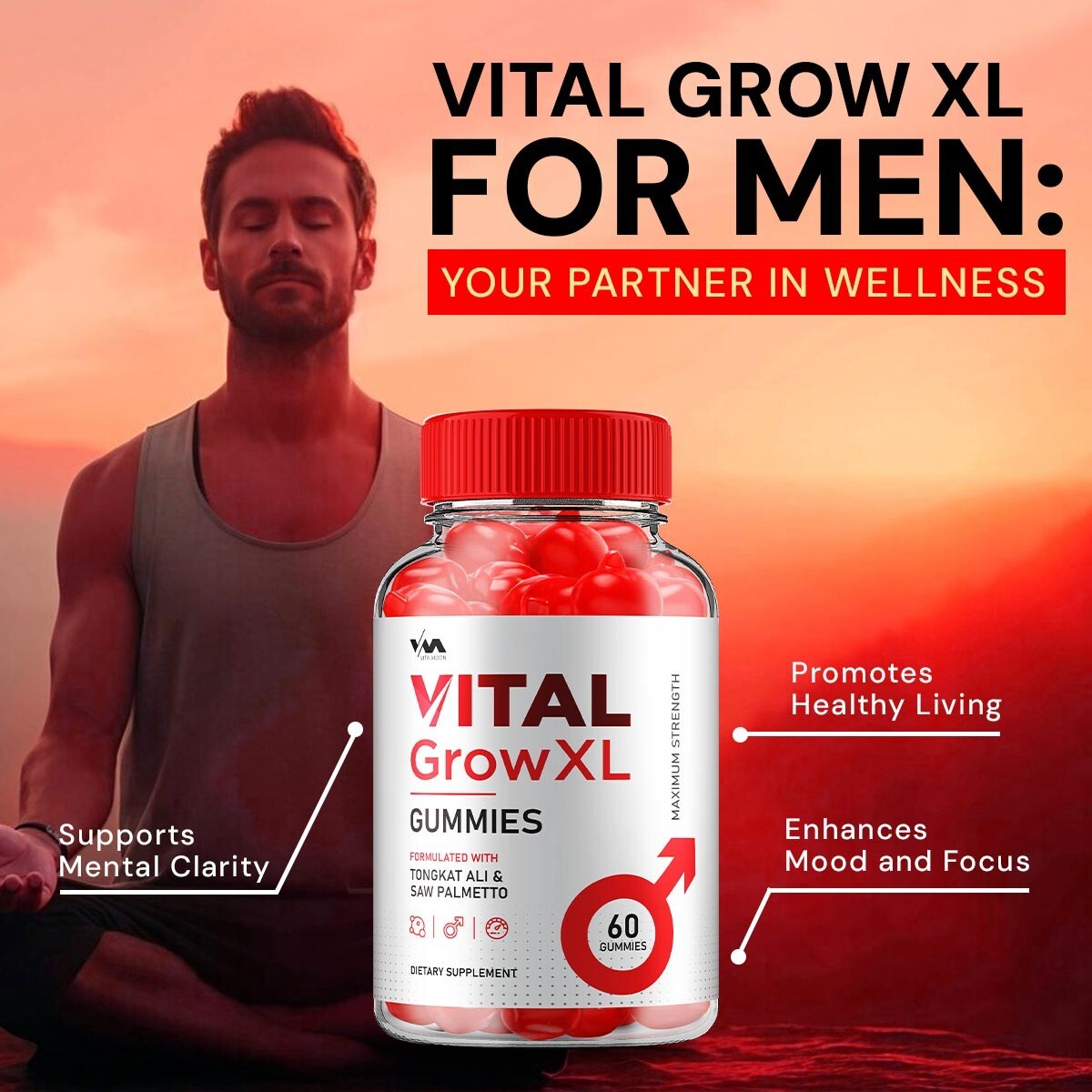 (2 Pack) Vital Grow XL Gummies for Men – VitalGrowXL Maximum Performance, 120…