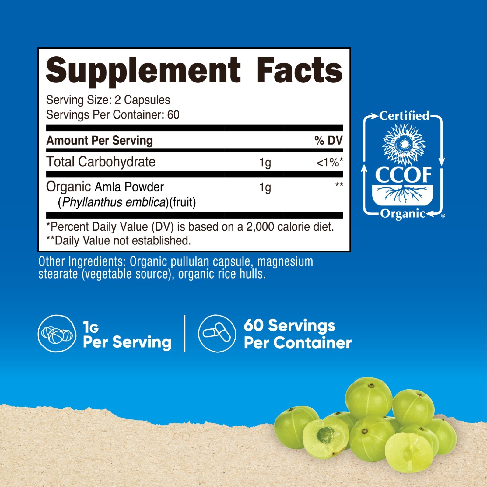 Nutricost AMLA Capsules 1000mg, 60 Servings, Made with Organic AMLA